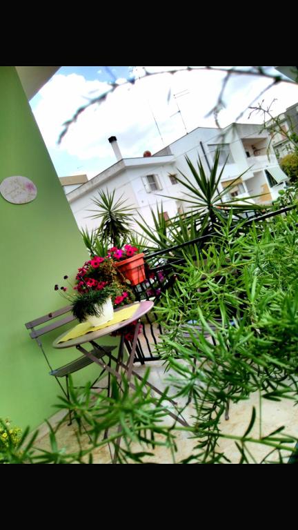 Zahrada ubytování B&B L'angolo fiorito