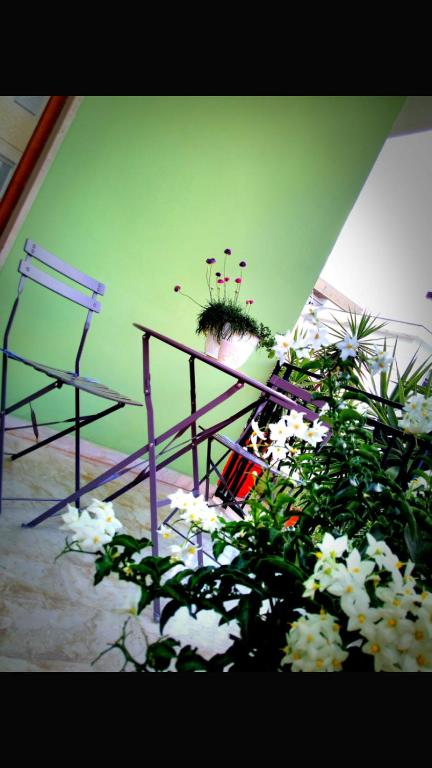 Zahrada ubytování B&B L'angolo fiorito