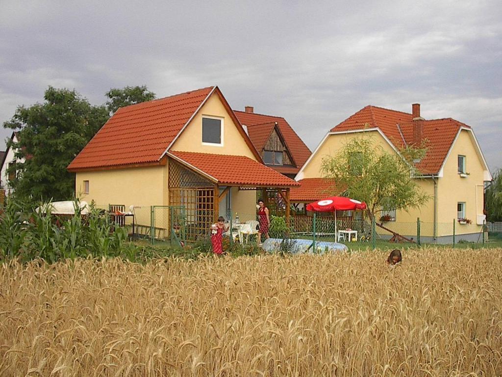 un grupo de casas en un campo de trigo en Balatoni Nyár Vendégház, en Balatonendréd