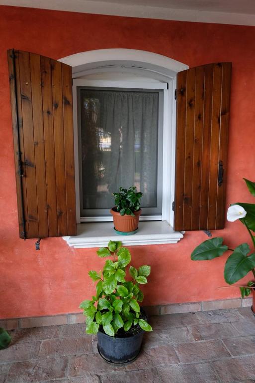 Imagine din galeria proprietății Red Fenice în San Donà di Piave