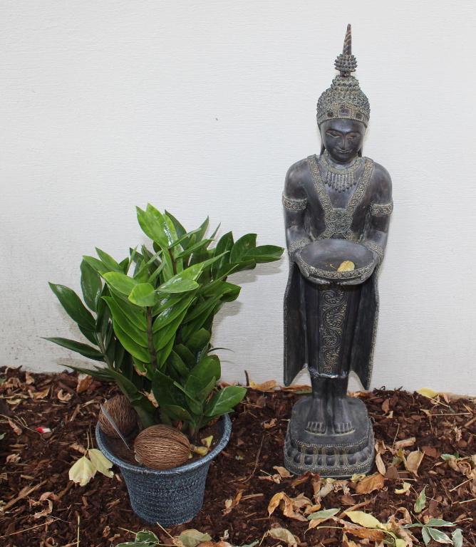 The newPAST Apartments - 3