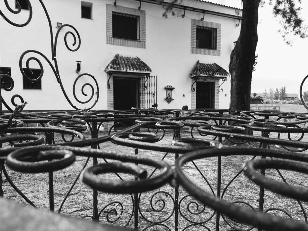 Fotografie z fotogalerie ubytování VTAR Don Benito, su casa rural en Gilena v destinaci Gilena