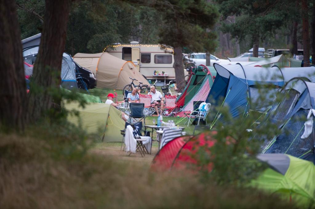 Hosté ubytování Dueodde Camping