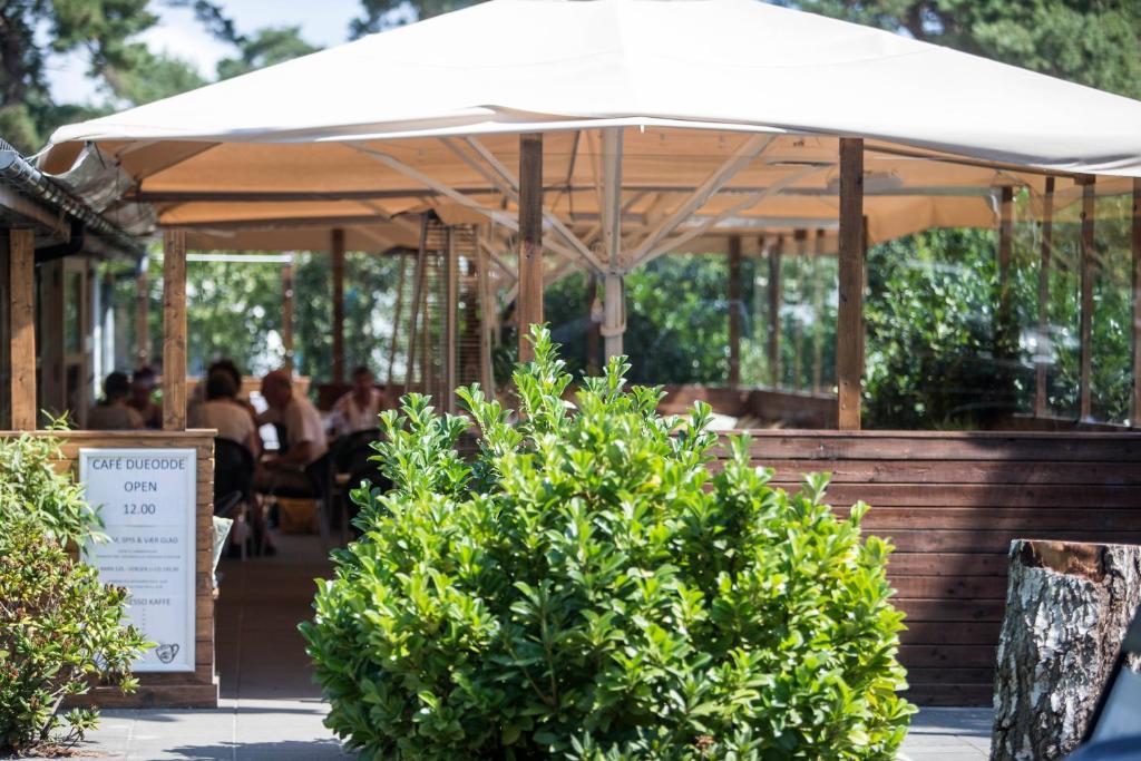 Hosté ubytování Dueodde Camping