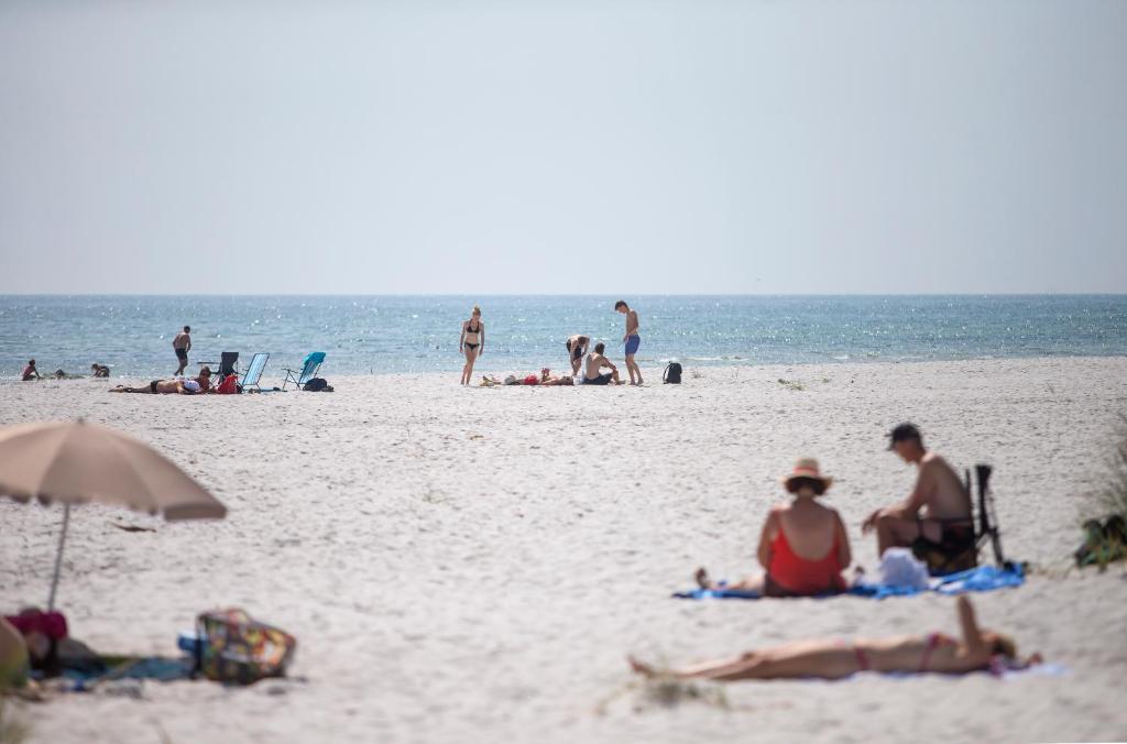 Hosté ubytování Dueodde Camping
