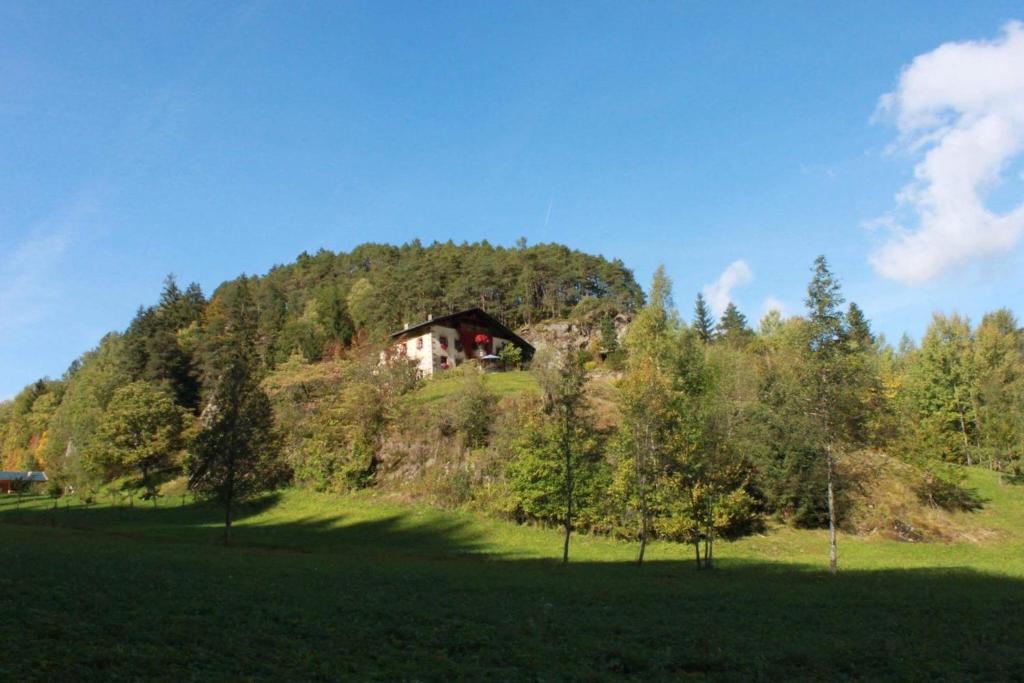 una casa in cima a una collina in un campo di Piburg Seebichlhof a Oetz