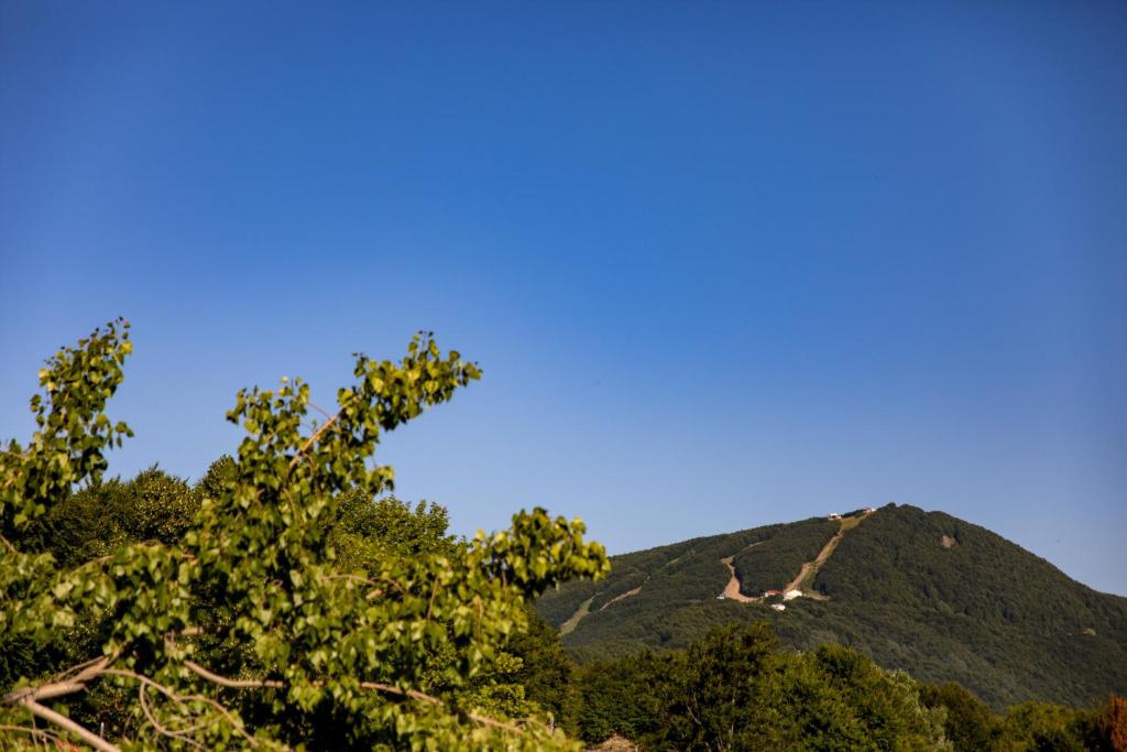 Tasia Mountain Hotel - 9