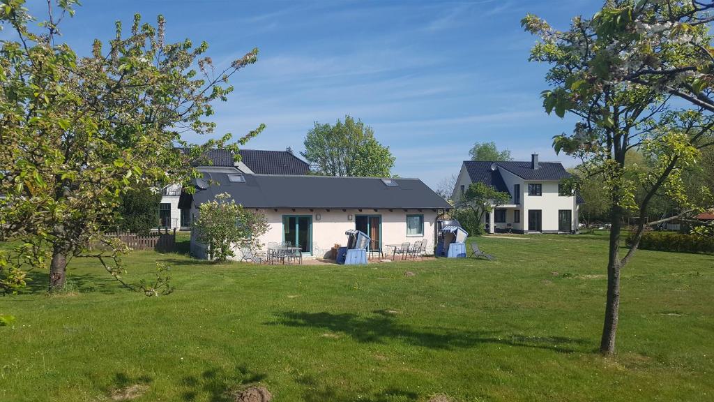 a house in a field with a yard at Pension Landhaus Teichgraf in Wolgast