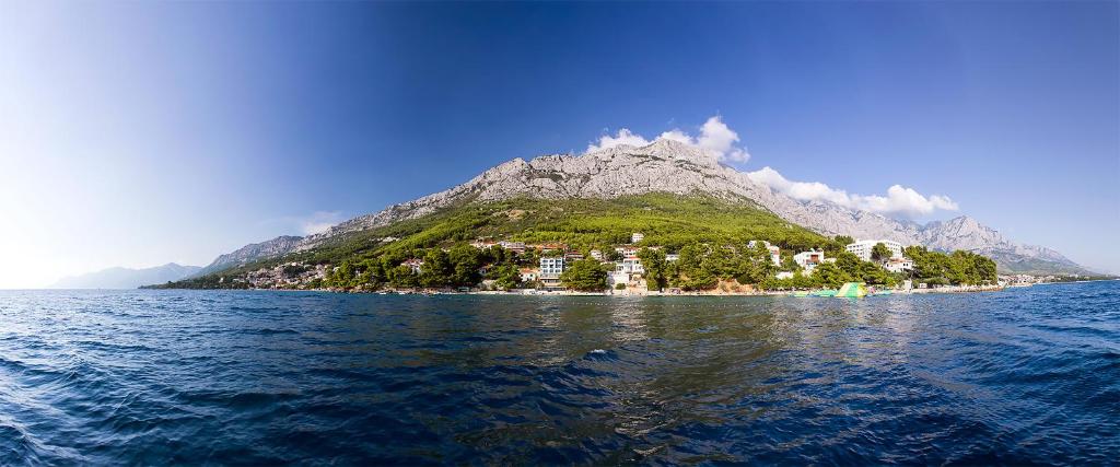 Apartments Villa Loznica - 13