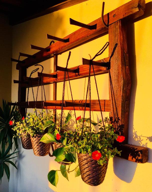 three plants in baskets hanging on a wall at casadaeiradeangeja in Angeja
