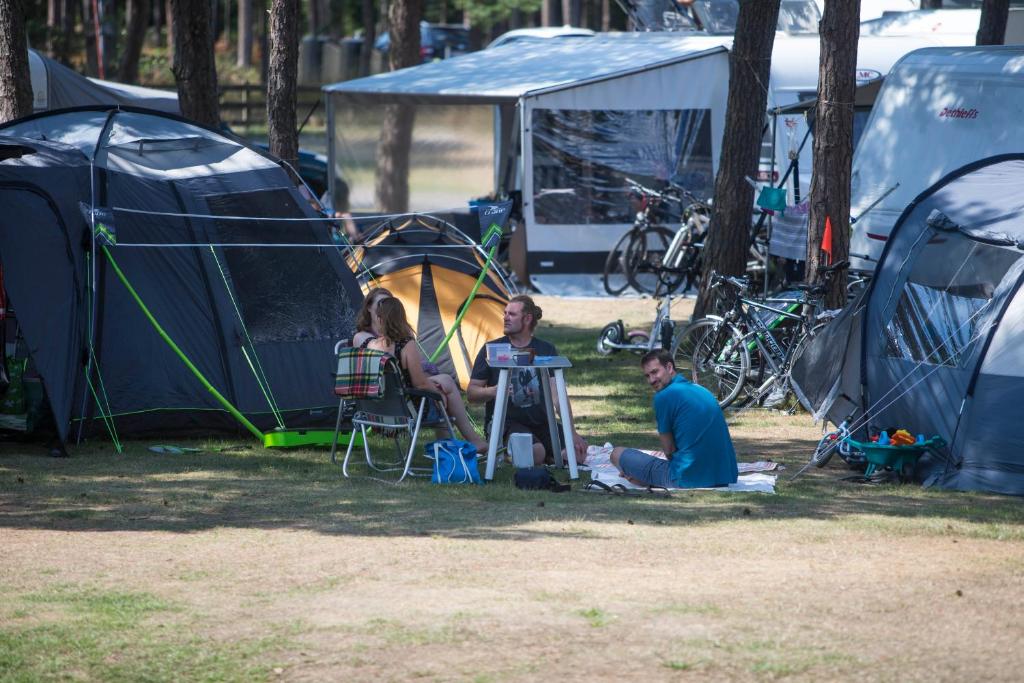 Fotografie z fotogalerie ubytování Dueodde Camping v destinaci Dueodde