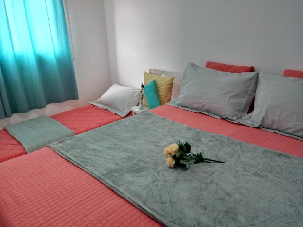 Kitnet Arraial do Cabo Praia Grande