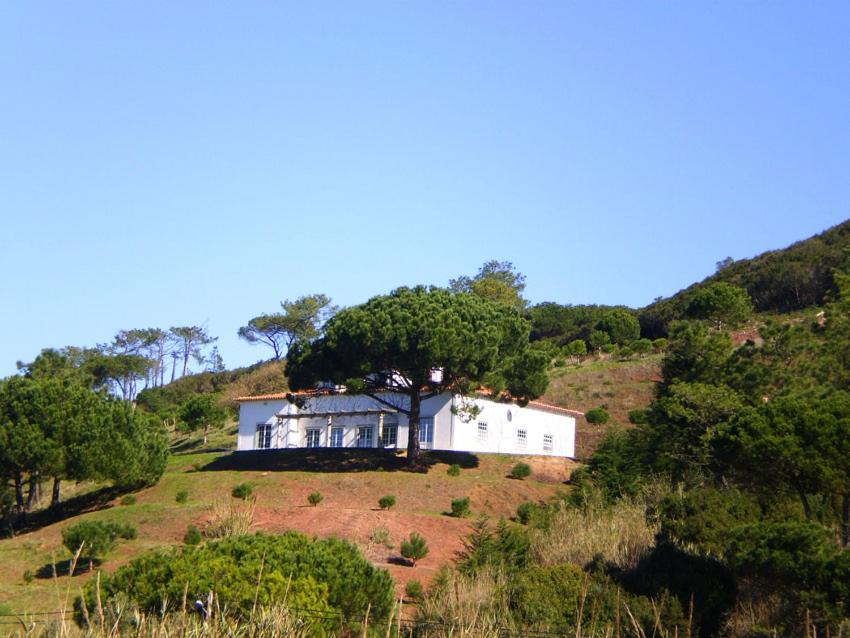 オビドスにあるCasa da Várzea, perto do Castelo de Óbidosの木のある丘の上の家