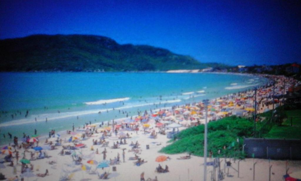  Estrela do Mar