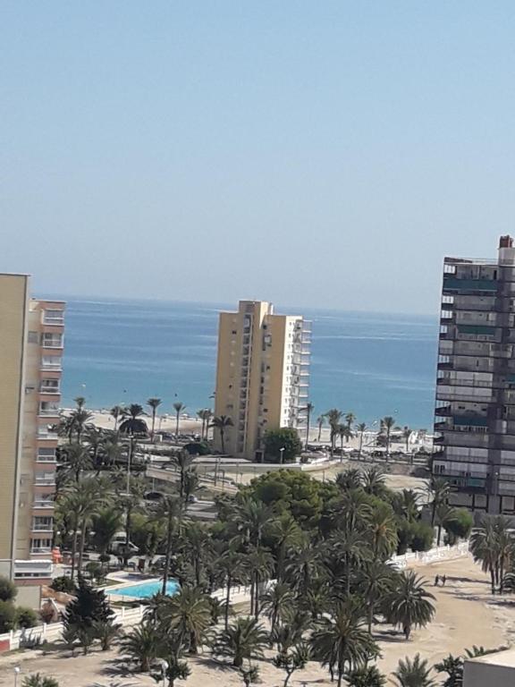 a view of a beach with palm trees and buildings at VISTAS PLAYA - Torre San Jordi in Alicante