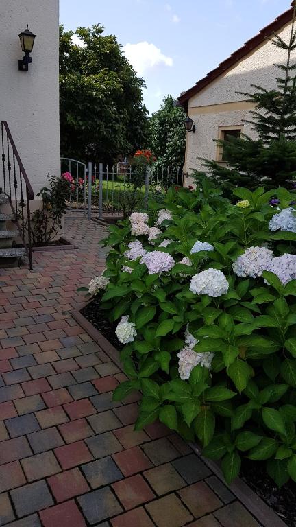 a garden with white flowers in front of a building at Ferienwohnung2 Grimma in Grimma