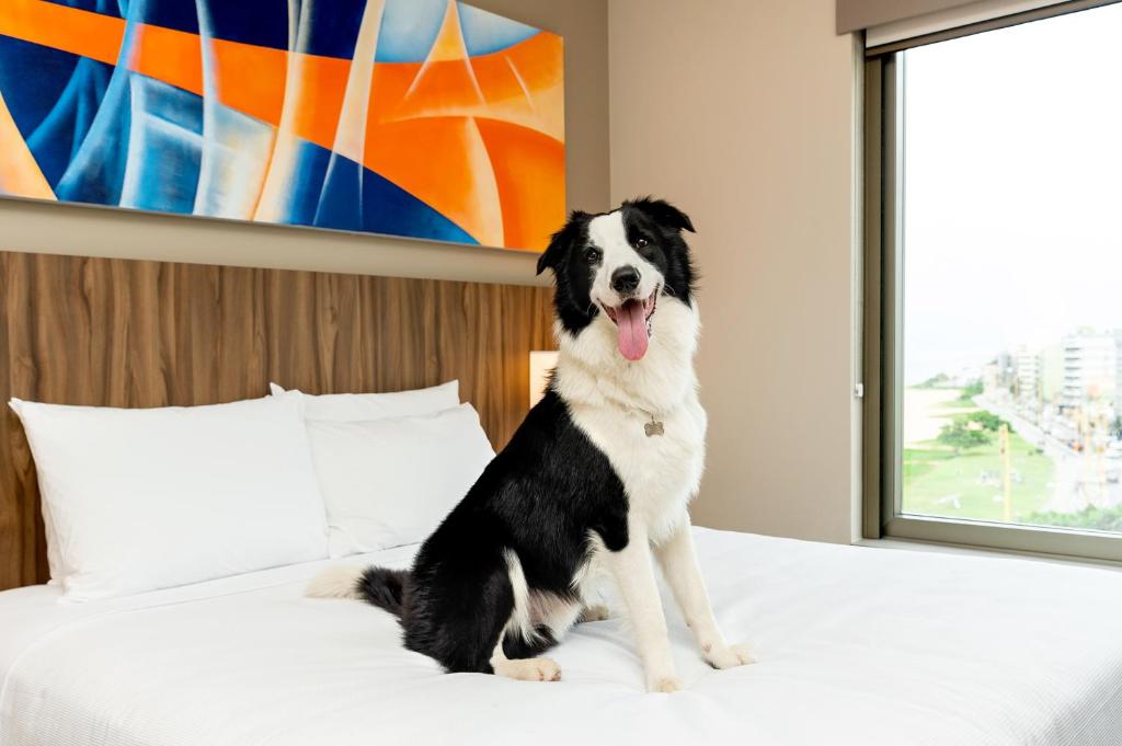  Hyatt Place Macae