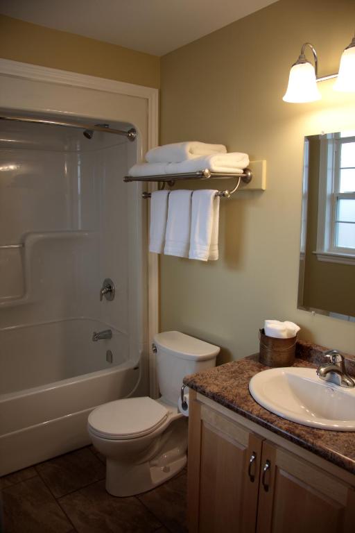a bathroom with a toilet and a shower and a sink at CARLETON INN & COTTAGES in Bridgetown