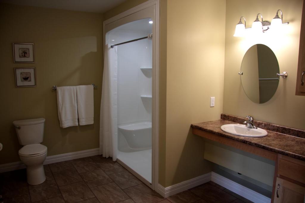 a bathroom with a shower and a sink and a toilet at CARLETON INN & COTTAGES in Bridgetown