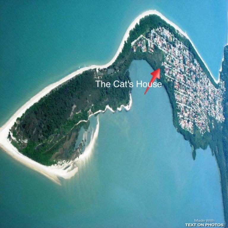 Foto da galeria de The Cats' House em Florianópolis