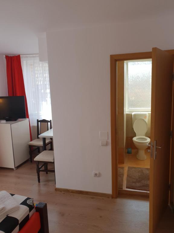 TV o dispositivi per l'intrattenimento presso Guest House Andrei