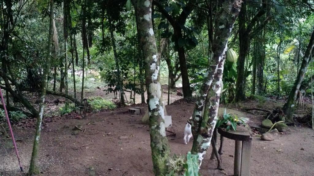  Recanto Encantado Ubatumirim