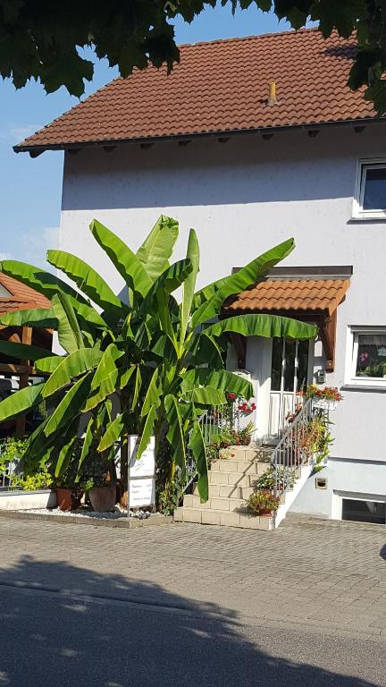 Ferienwohnung Am Eck - 16