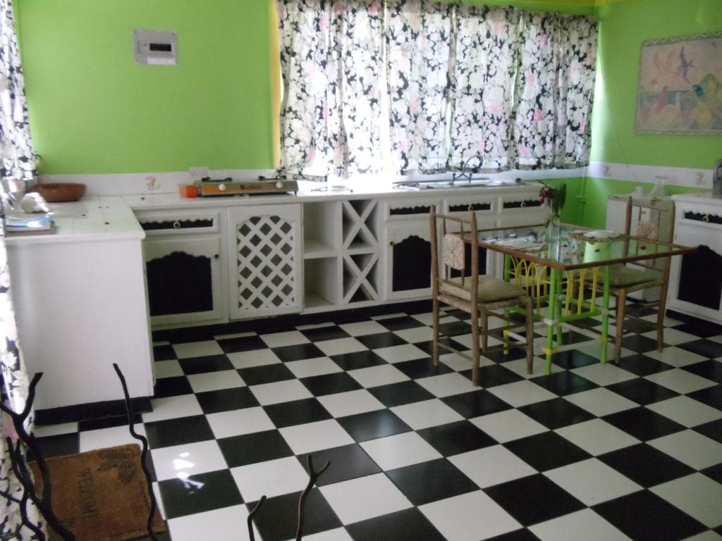 Kuchyň nebo kuchyňský kout v ubytování Villa Des Pitons