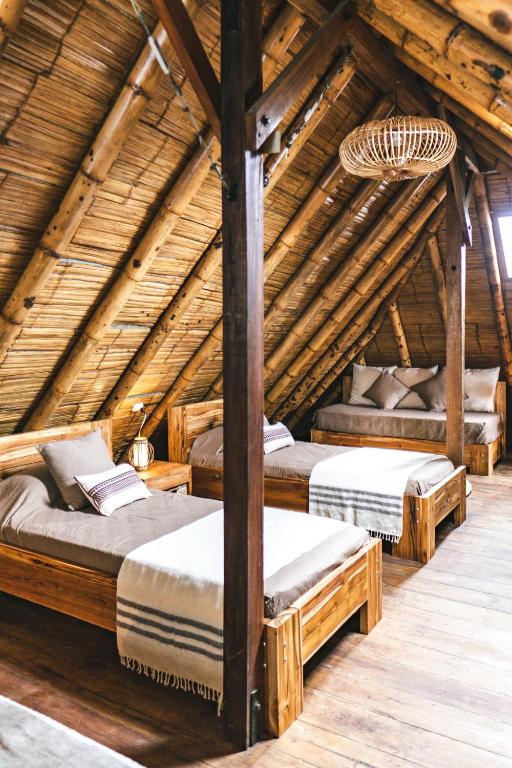 Tiki Limbo - Suite Di Famiglia