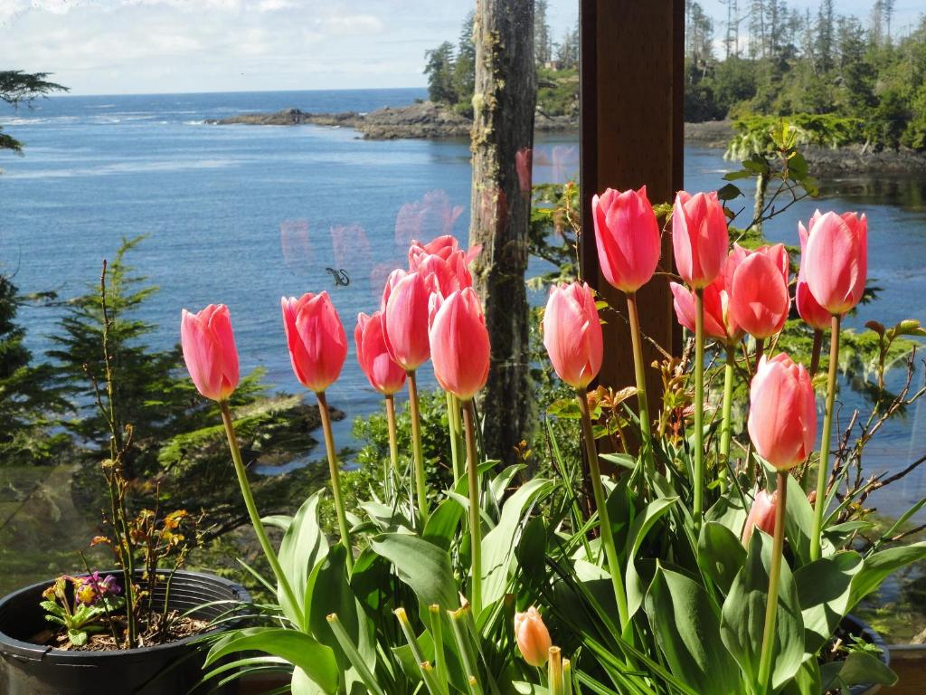 Paesaggio naturale nelle vicinanze del bed & breakfast