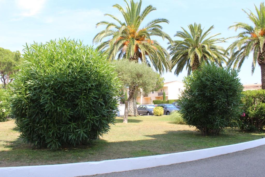 Vonkajšia záhrada v ubytovaní Estudi vista mar La Fosca