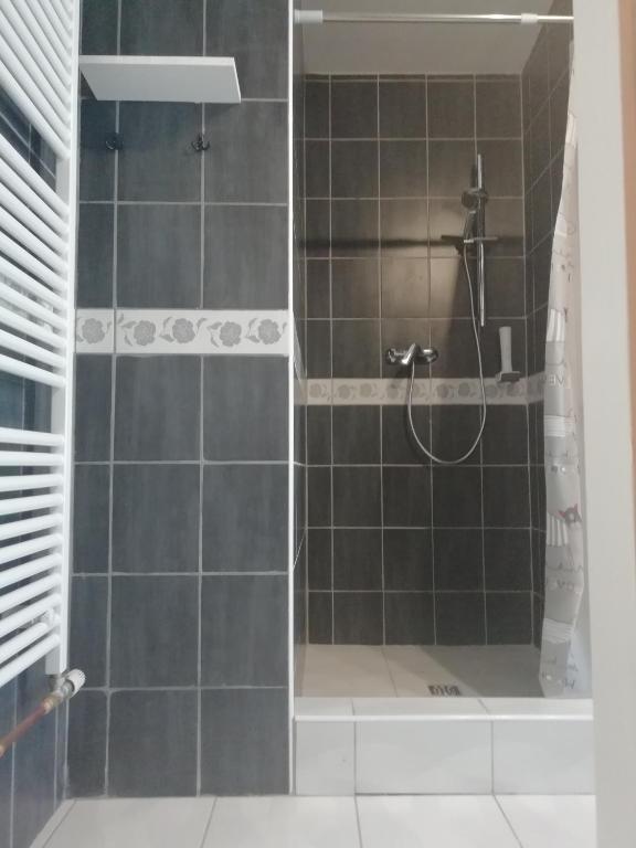 Koupelna v ubytování Hostel Eva