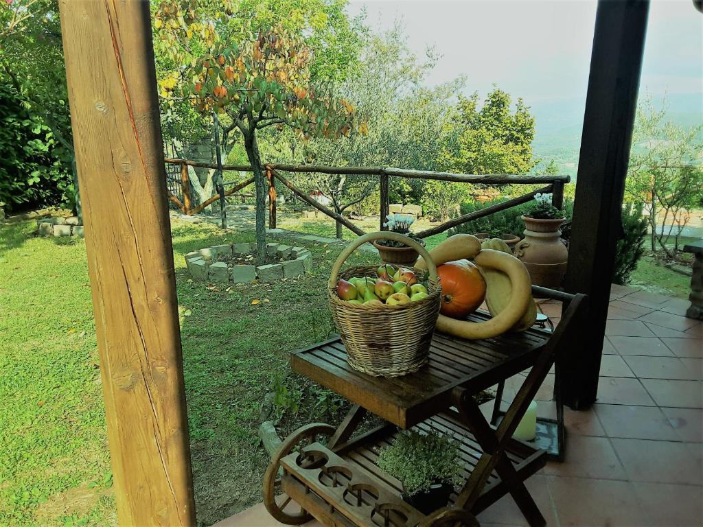 Zahrada ubytování Casa Conny