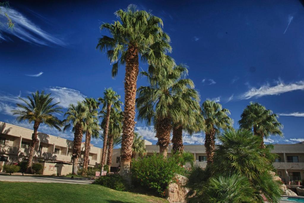 Zahrada ubytování Miracle Springs Resort and Spa