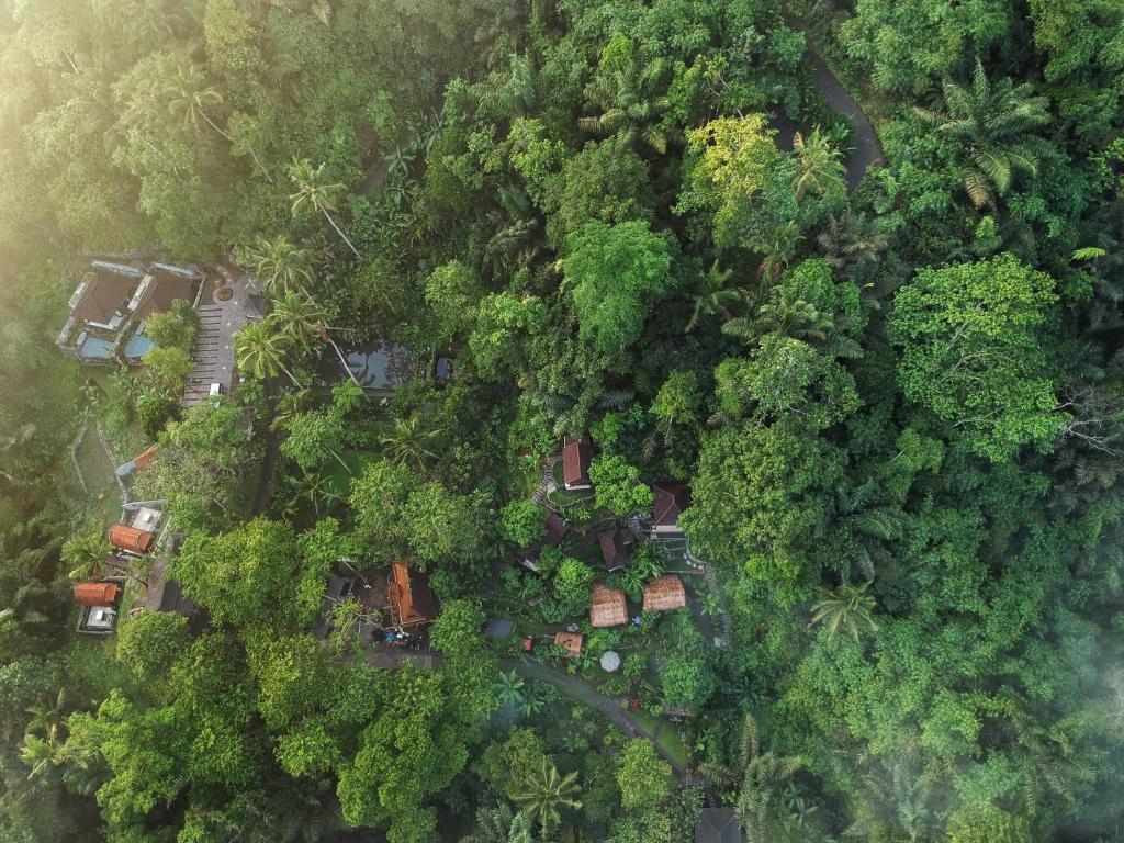 an overhead view of a forest with houses and trees at Bali Jungle Resort in Tegalalang