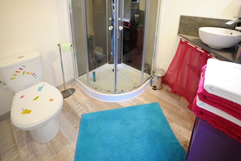 Un baño de DORMIR A MONTAUBAN Logements Carreyrat Calme et Verdoyant