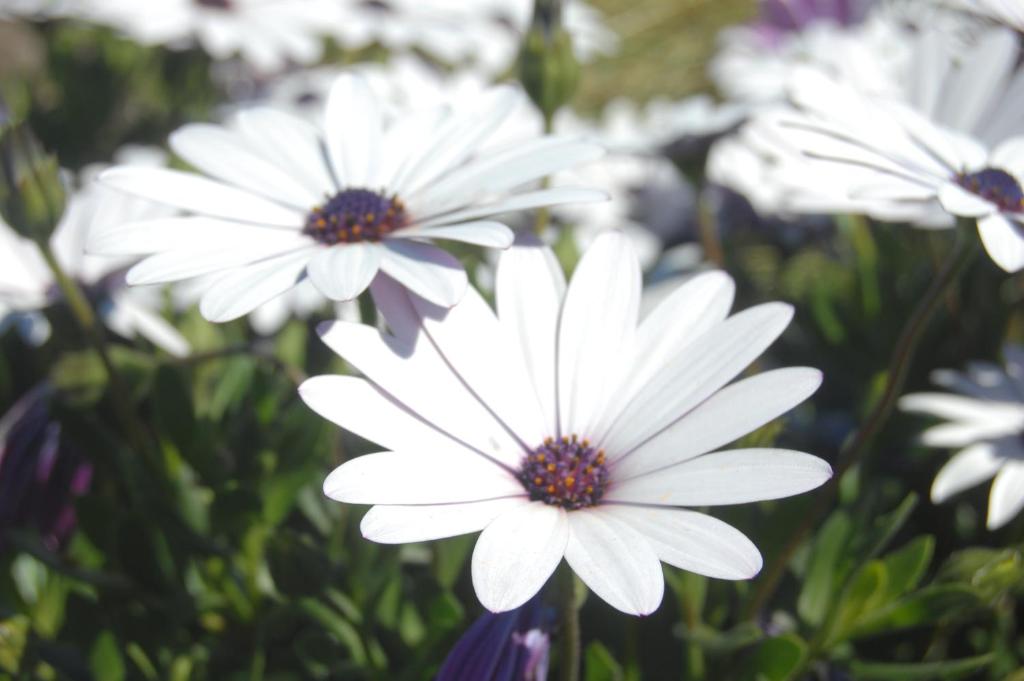 Gateway Motor Lodge - Wanganui - Resim 20