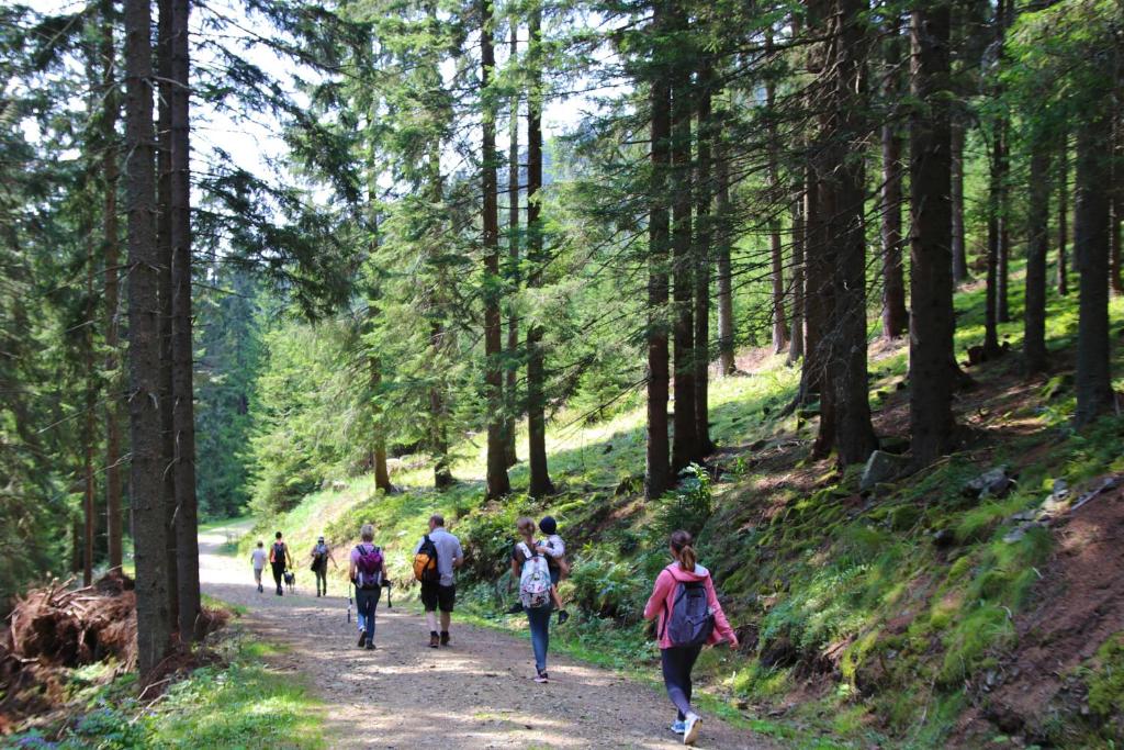 Hosté ubytování Genuss-Pension Herti