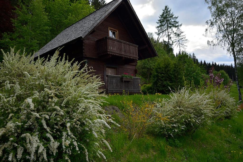 Zahrada ubytování Hütte zum Verlieben
