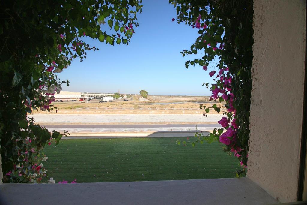 una ventana con vistas al campo y flores en Convento das Bernardas, en Tavira