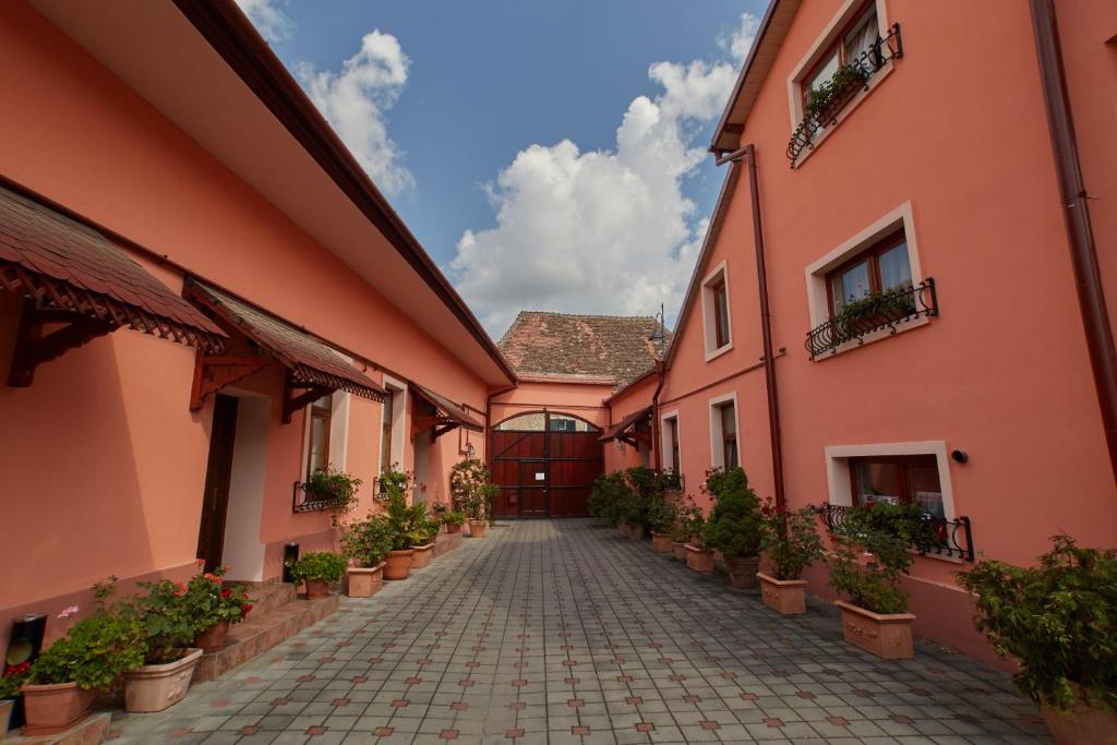 an alley between two pink buildings with potted plants at Pensiunea Daniel in Sibiu