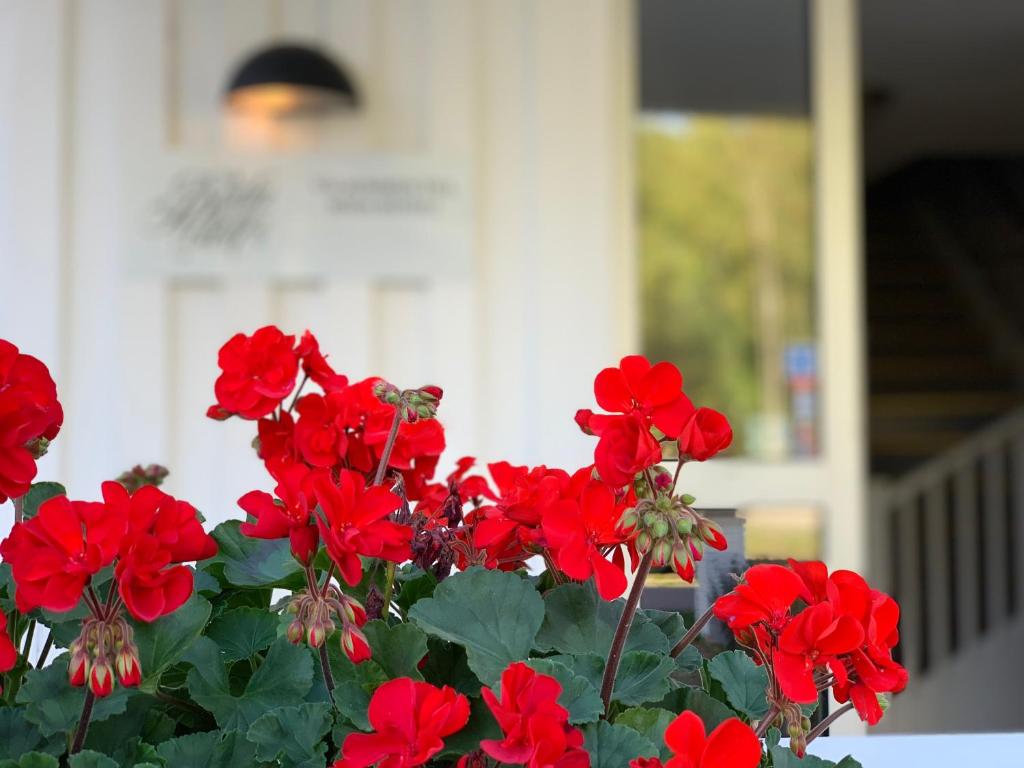 Zahrada ubytování Böda Hotell