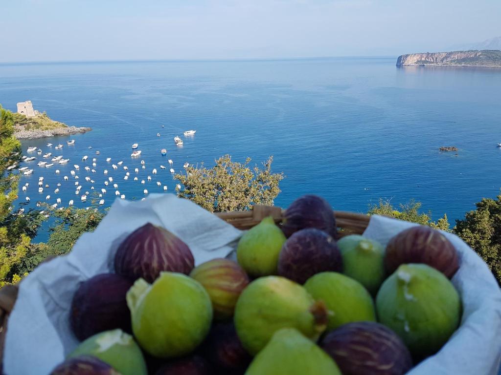 a basket of fruit with a view of the water at Villa Crawford in San Nicola Arcella