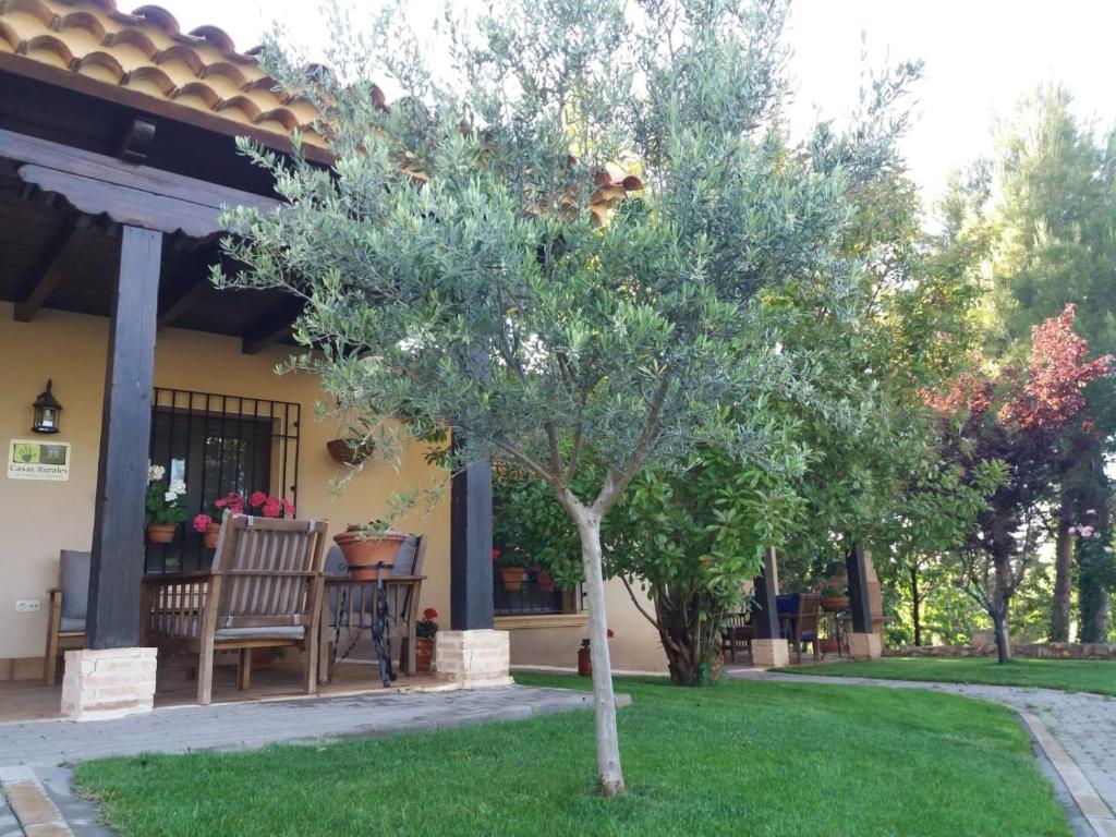 a tree in front of a house with a chair at Casas Rurales Cortijo Bellavista in Alcaraz
