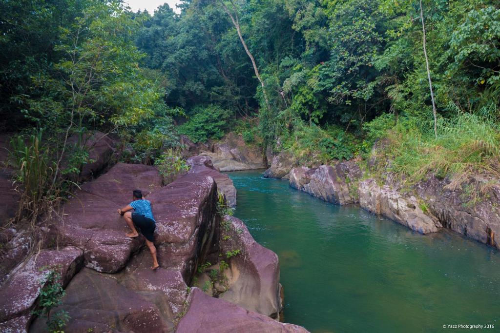 Jungle River – Photos 1