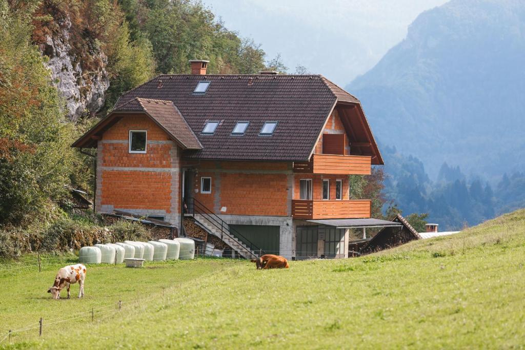 a house on a hill with two cows in a field at Apartments Dominika in Bohinjska Bela