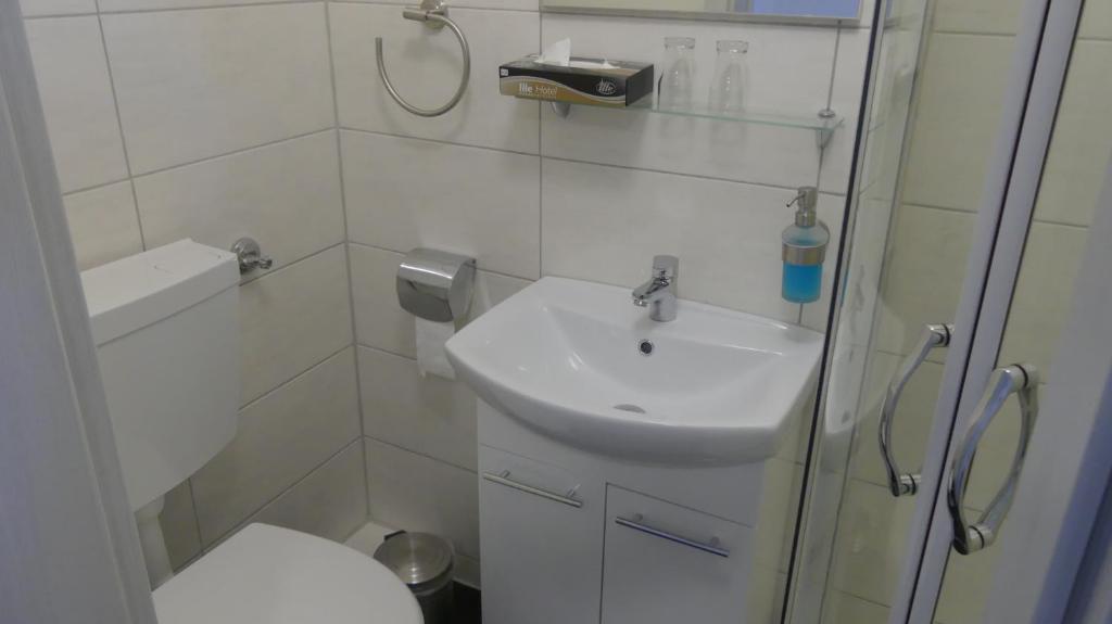 Hotel Zum Böhmegrund - Habitación Doble Con Baño Privado