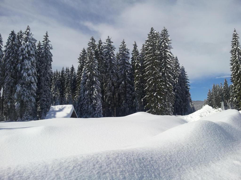 Hotel Jelka Pokljuka v zimě