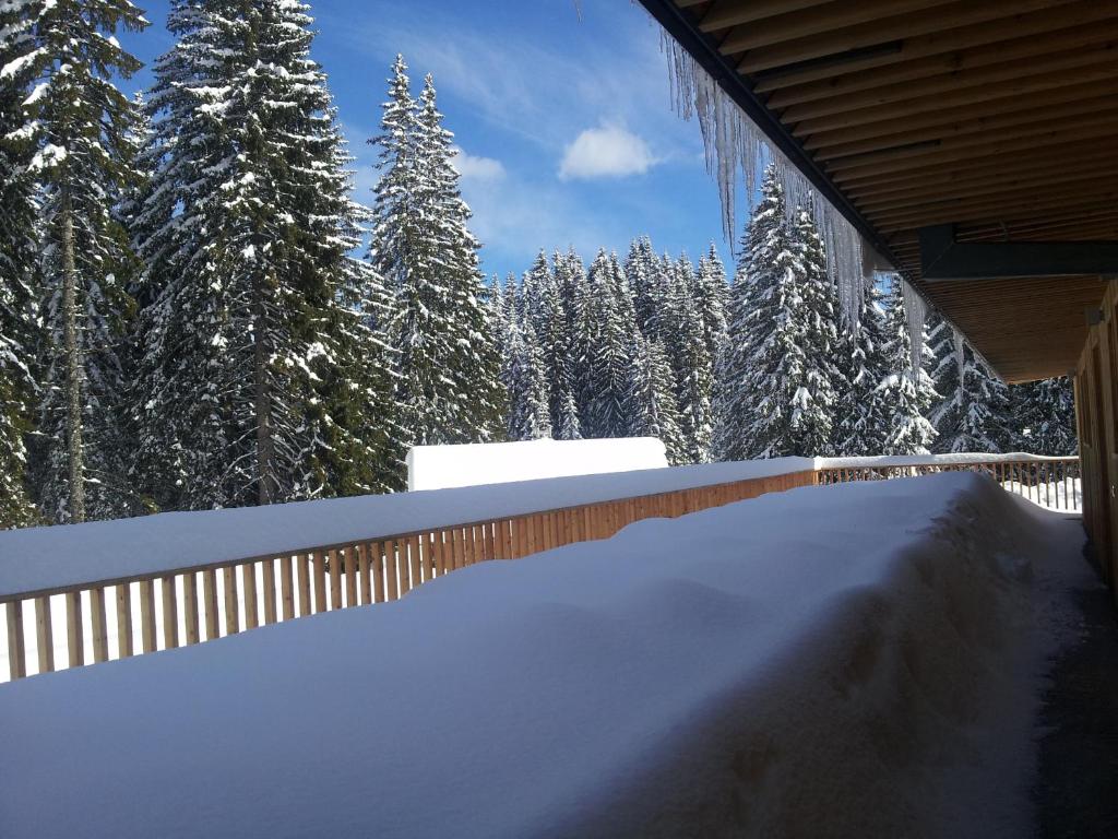 Hotel Jelka Pokljuka v zimě