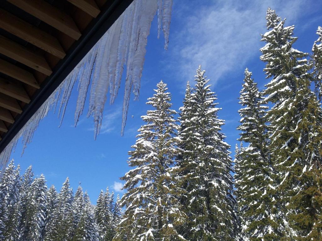 Hotel Jelka Pokljuka v zimě